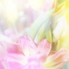 Природа 214