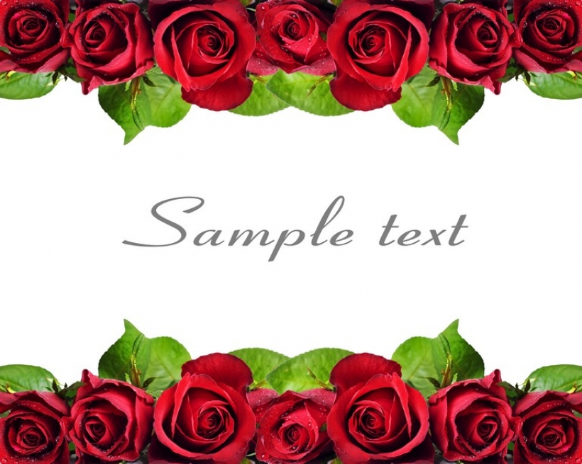 Природа 1017